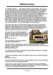 Blätterrechen / Dreikönigsweihnacht 1